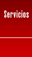 Servicios